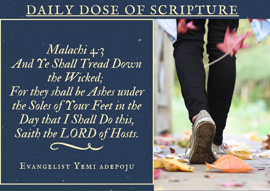 Daily Dose of Scripture by Evang. Yemi Adepoju