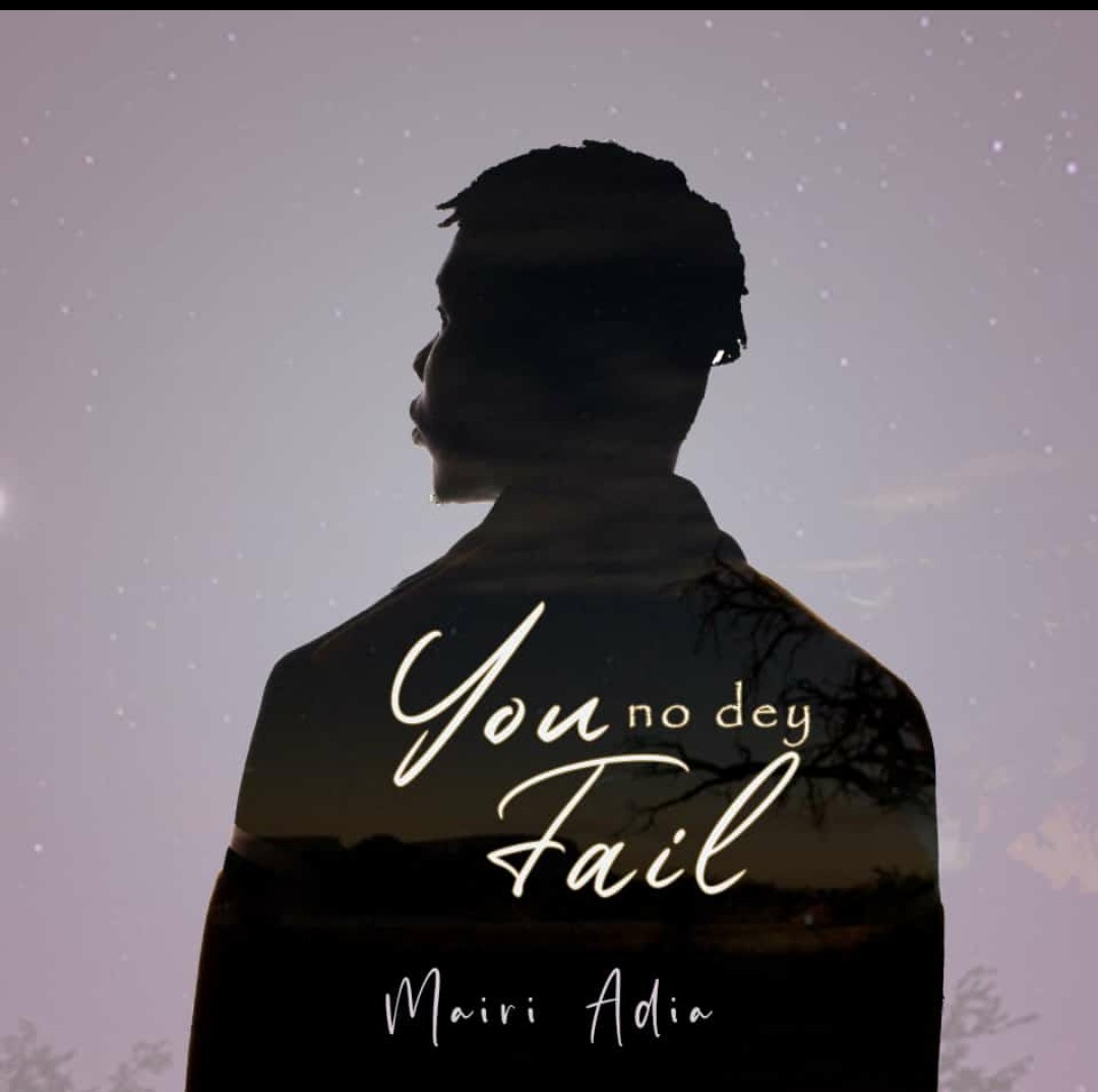 You No Dey Fail by Mairi Adia