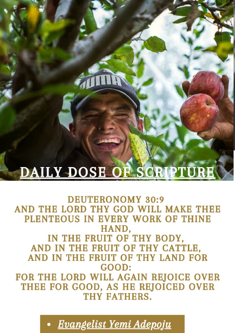 Daily Dose of Scripture by Evang Yemi Adepoju